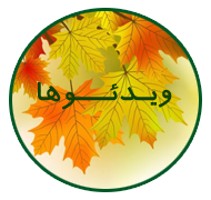 Cosmetic surgery video